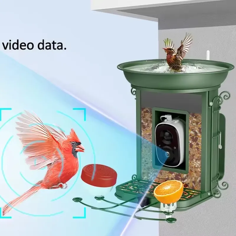 Solar-powered smart bird feede - Power Tools Ai recension och pris