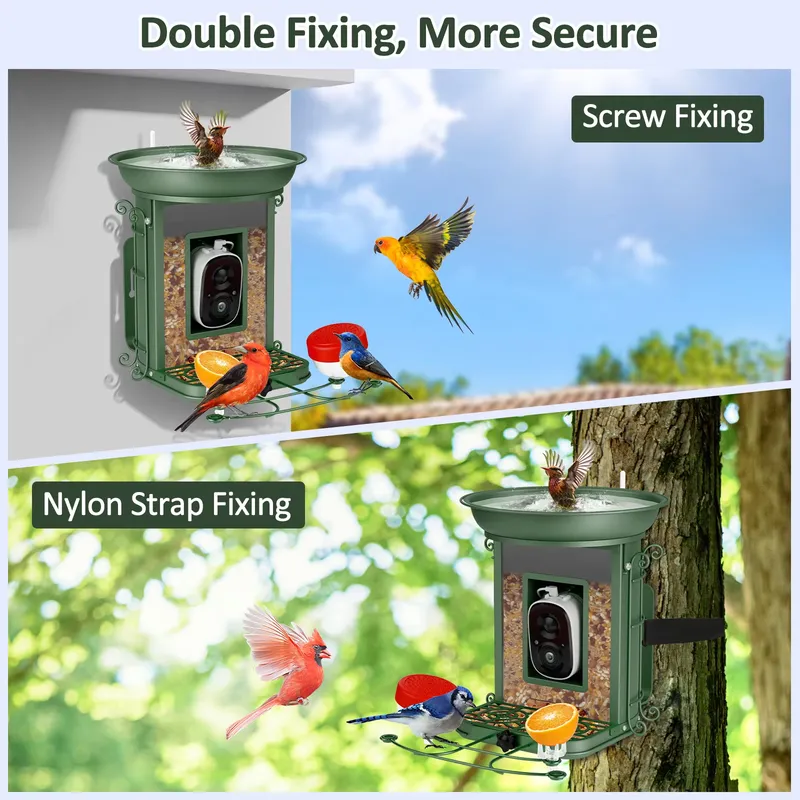 Solar-powered smart bird feede - Power Tools Ai recension och pris