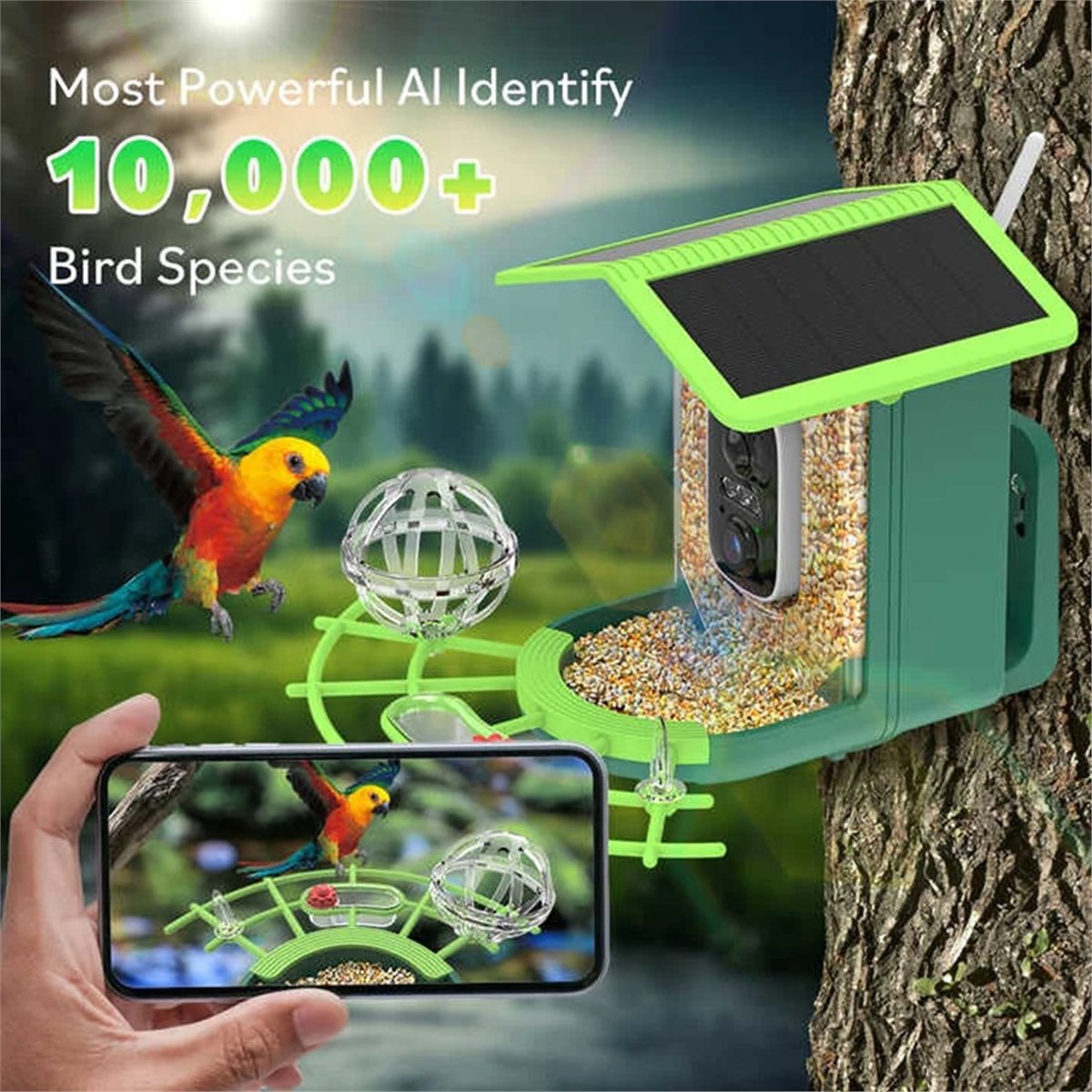 ABPP Smart Bird Feeder Camera  - Power Tools Ai recension och pris